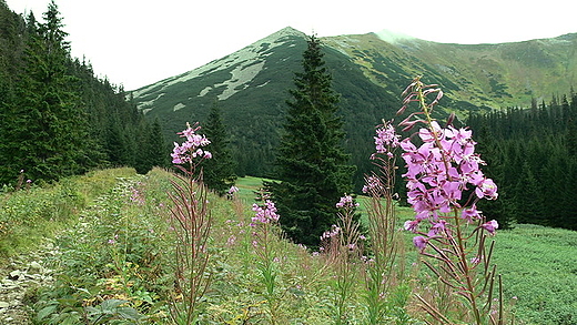 Tatry Zachodnie