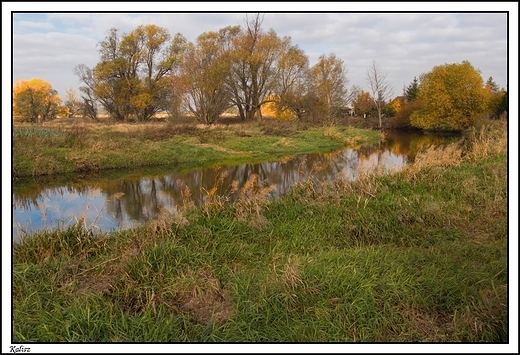 Kalisz - rzeka Prosna tu za Wyszym Seminarium Duchownym Diecezji Kaliskiej