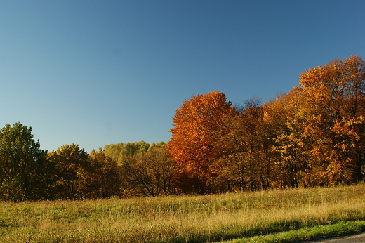 barwy  jesieni