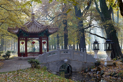 Padziernikowy poranek w ogrodzie chiskim