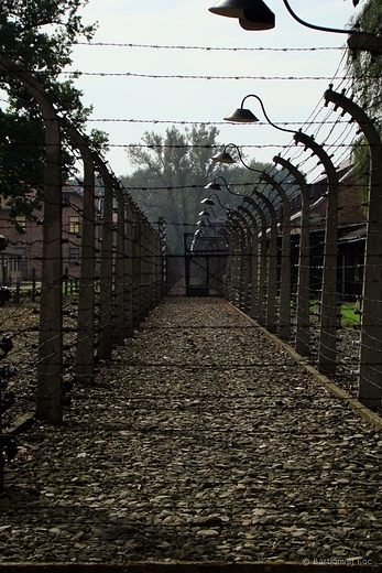 Auschwitz