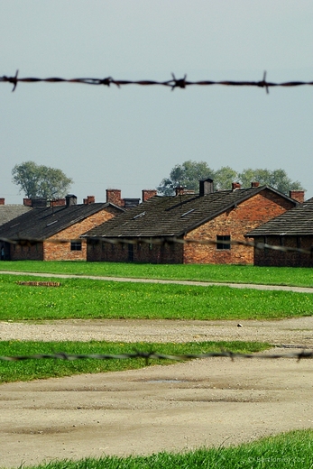 Auschwitz Birkenau