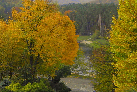 widok na staw Amerykan