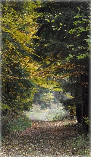 Park Krajobrazowy Sudetw Wabrzyskich