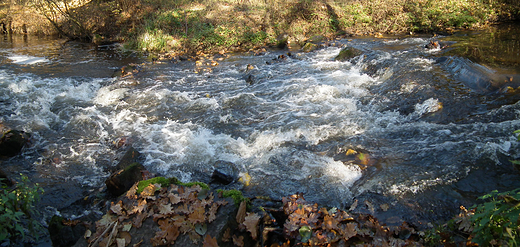 Spitrzenie wody na rzece Chodelce