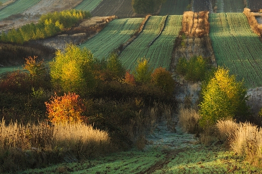 Krajobrazy Roztocza. Antoniwka. Padziernikowy poranek