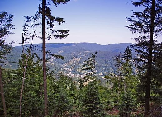 Beskid May - szlak na Czupel