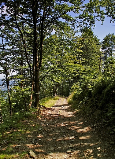 Beskid May - szlak na Czupel