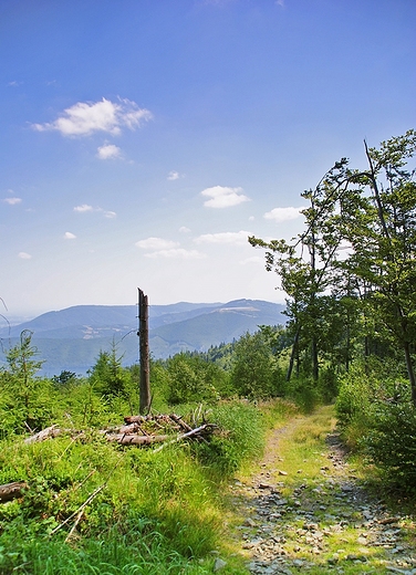 Beskid May - szlak na Czupel