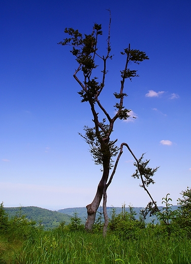 Beskid May - szlak na Czupel