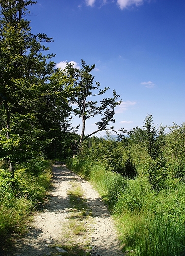 Beskid May - szlak na Czupel