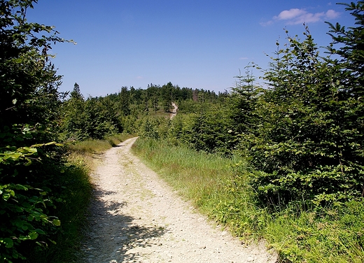 Beskid May - szlak na Czupel