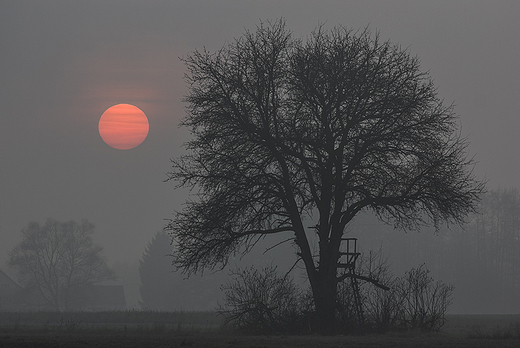 Listopadowe Podlasie