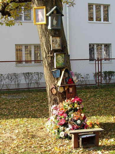 Kapliczkowe drzewo na Grochowie