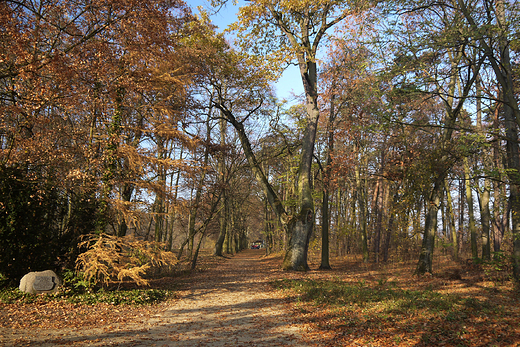 Rogalin. Przypaacowy park.