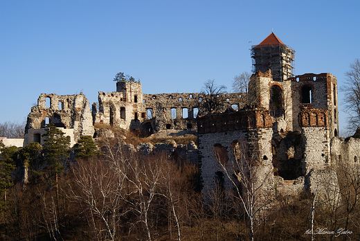 Zamek Tenczyn