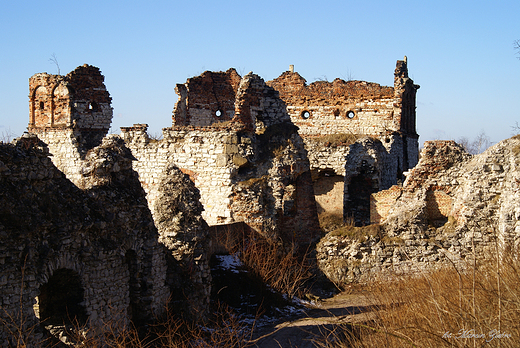 Zamek Tenczyn