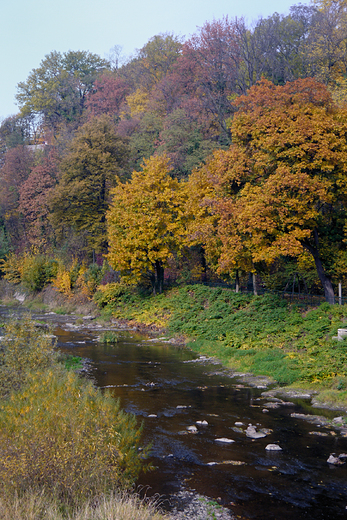 Cieszyn. Jesie nad Olz.