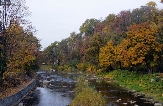 Cieszyn. Jesie nad Olz.