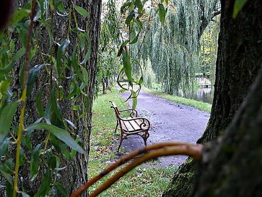 Czekam...Park Koszalin