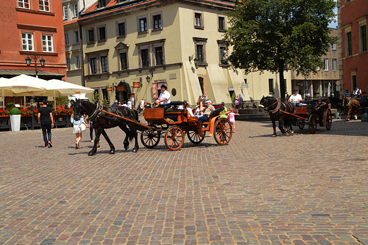 Warszawa - Doroki na Placu Zamkowym