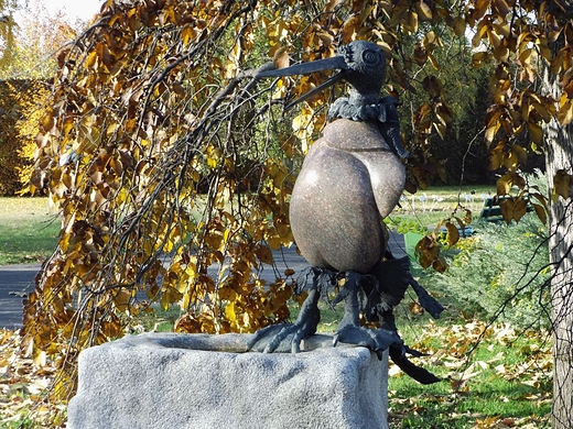 Jesie w Ogrodzie Botanicznym PAN