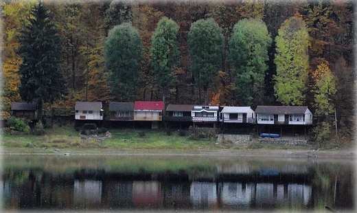 Jesie nad jeziorem Lubachowskim