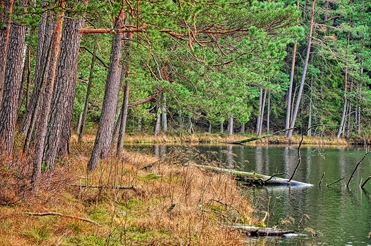 Wigierski Park - listopadowo