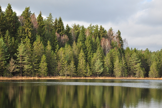 Wigierski Park - listopadowo