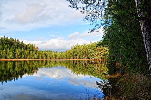 Wigierski Park - listopadowo