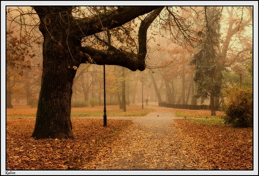 Kalisz - Park Miejski