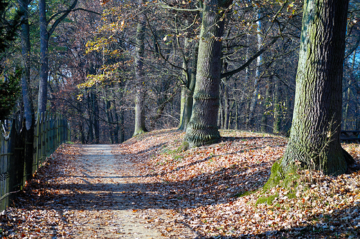 Barokowo-klasycystyczny Paac w Rogalinie. Park.