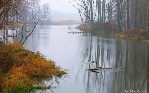 Jesie... Rzeka Liwiec