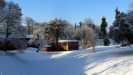 zima w parku...