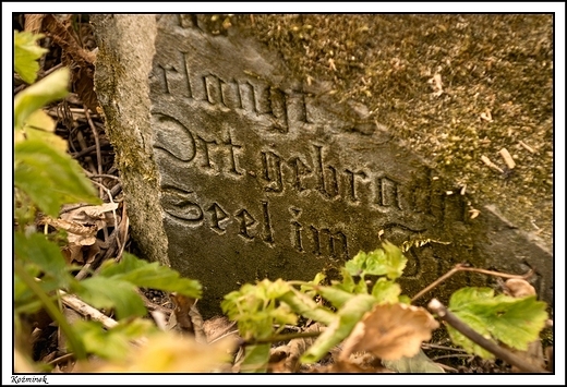 Kominek - zrujnowany cmentarz ewangelicki