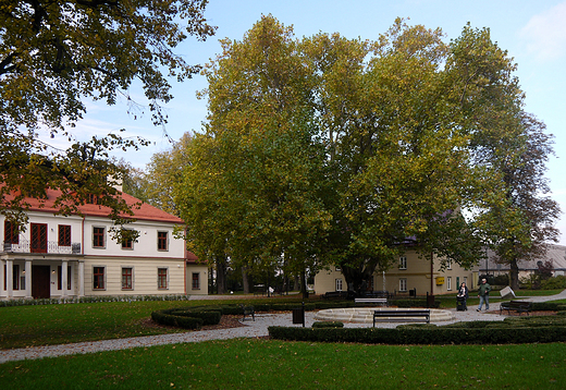 Kozy. Neoklasycystyczny paac Czechw.Na pierwszym planie zabytkowy platan.