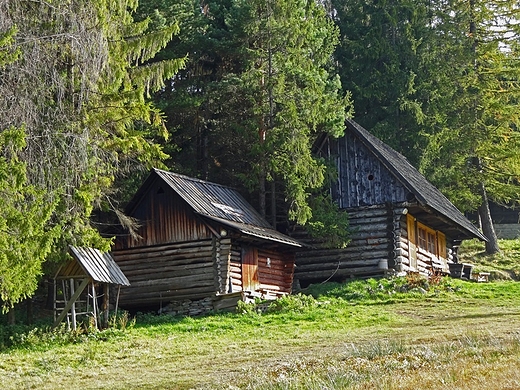 Wierchomla Maa, przy trasie zjazdowej nr 1