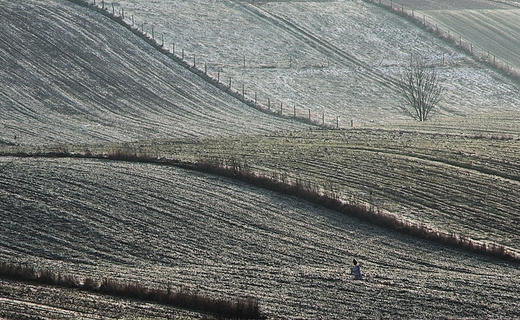 Roztocze. Zima mysia