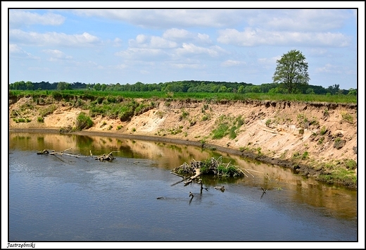 Jastrzębniki - rzeka Prosna