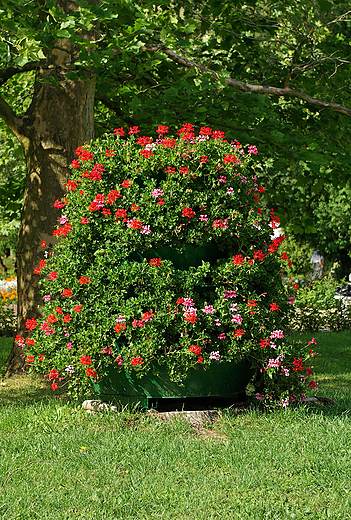 Busko-Zdrj. Park zdrojowy