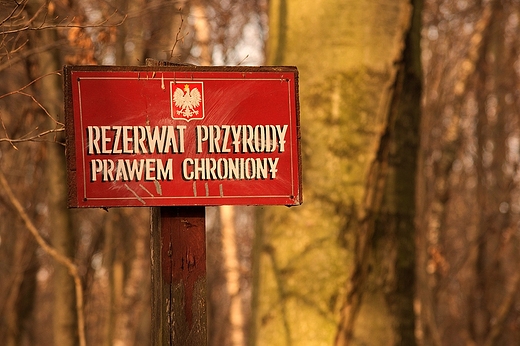 Rezerwat przyrody Ksiostany