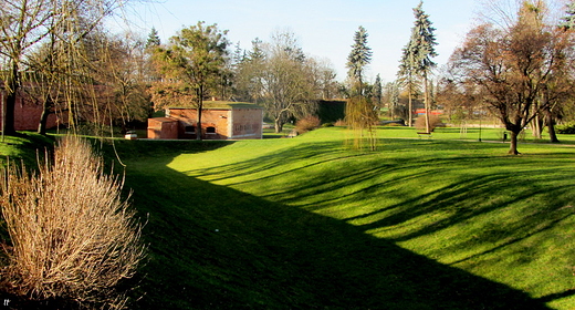 zamojski park w grudniu...