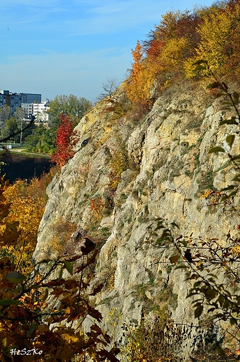 Kielce rezerwat przyrody Kadzielnia