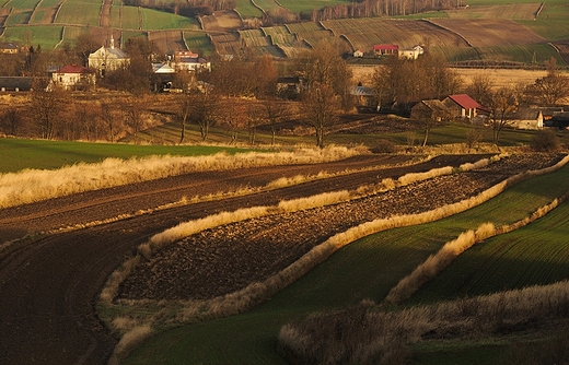 Grzda Sokalska. Widok na Grdek