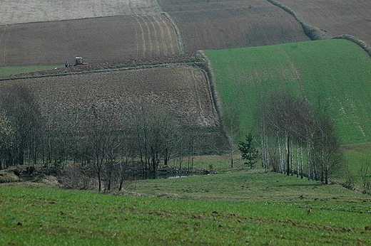 Sieradowice - na wiosennych polach