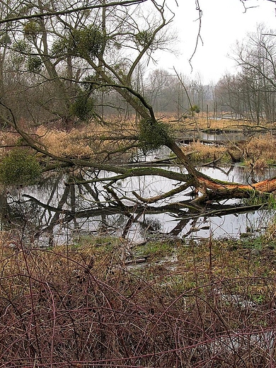 Prawdziwa natura tego miejsca