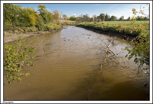 Przystajnia - rzeka Prosna i jej otoczenie