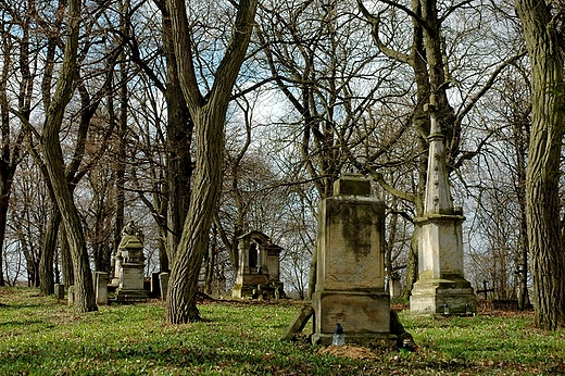 Wszchwite - pomniki na starym cmentarzu