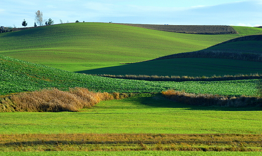 Opolskie plenery