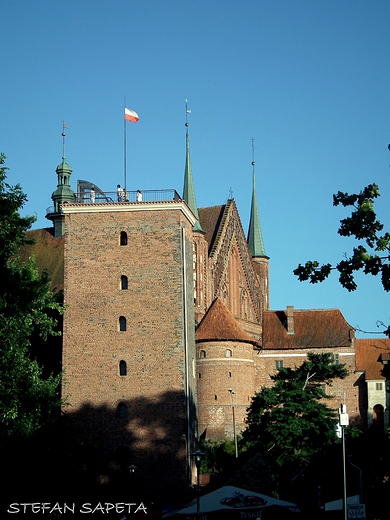 wieża wodociągowa a w tle Zespół Wzgórza Katedralnego